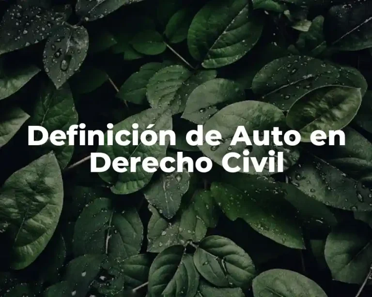 Definición de Auto en Derecho Civil