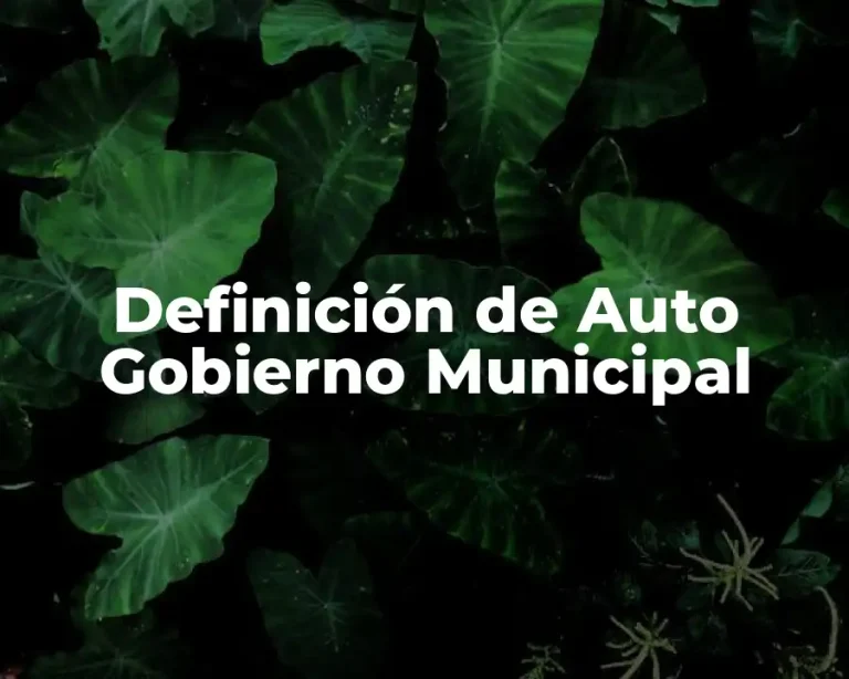 Definición de Auto Gobierno Municipal