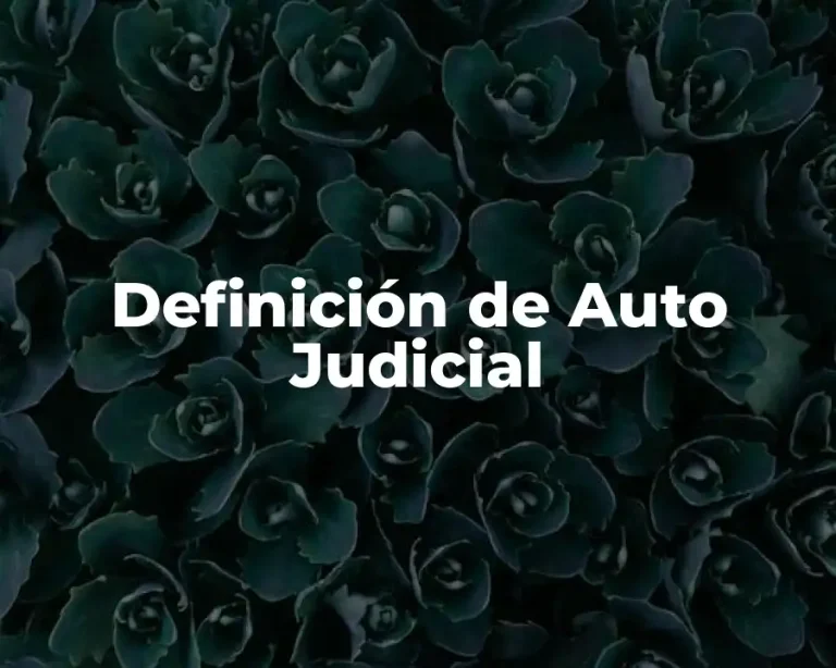 Definición de Auto Judicial