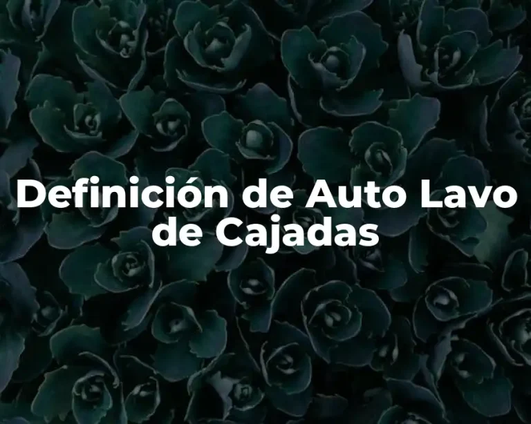 Definición de Auto Lavo de Cajadas
