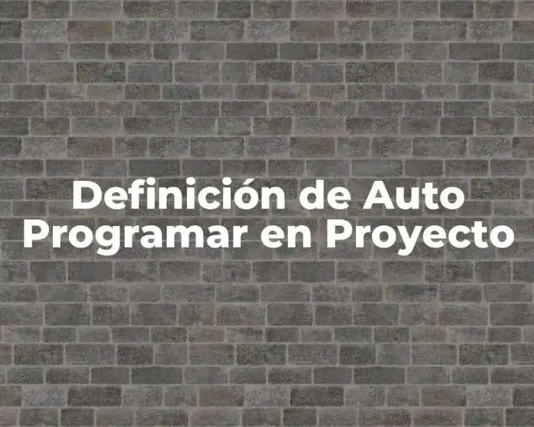 Definición de Auto Programar en Proyecto