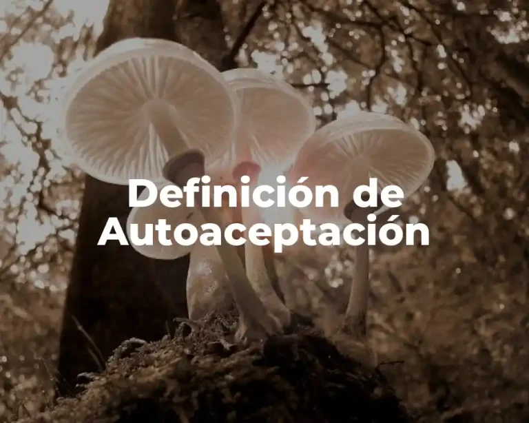 Definición de Autoaceptación