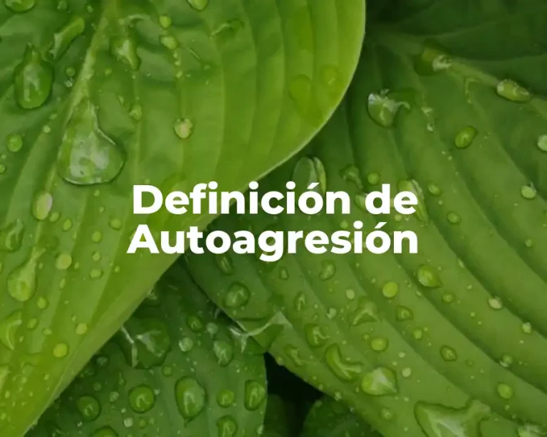 Definición de Autoagresión
