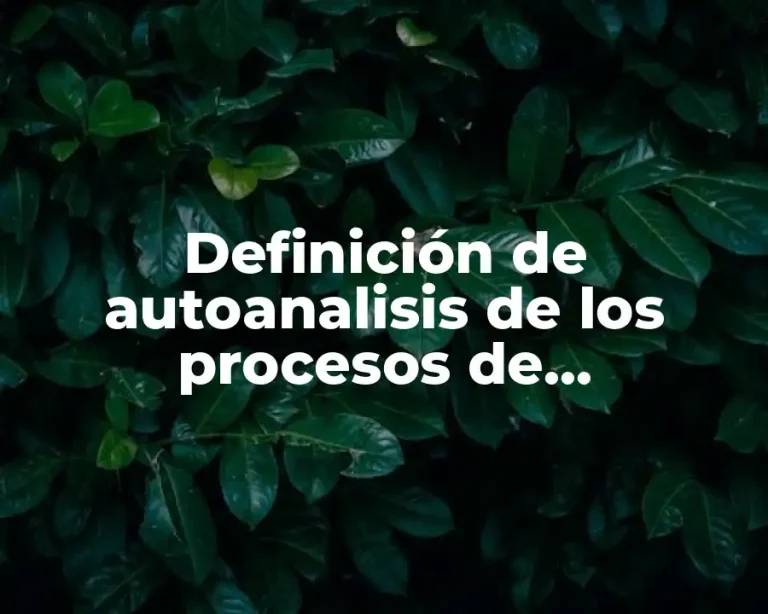 Definición de autoanalisis de los procesos de aprendizaje