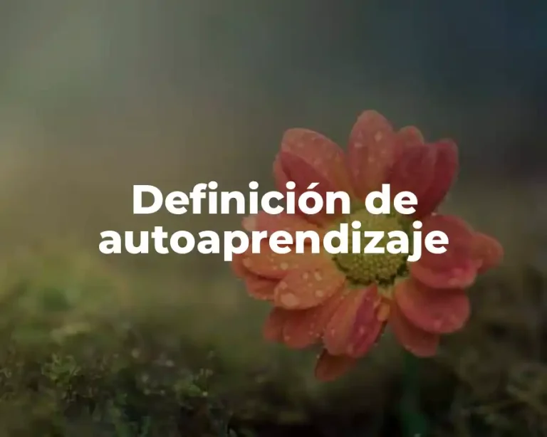 Definición de autoaprendizaje