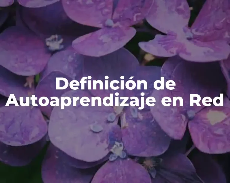 Definición de Autoaprendizaje en Red