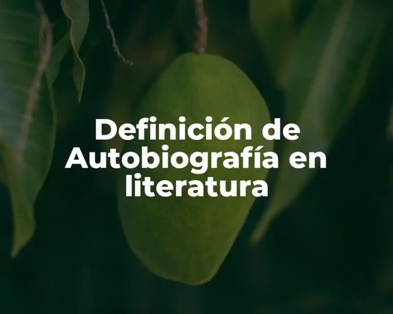 Definición de Autobiografía en literatura