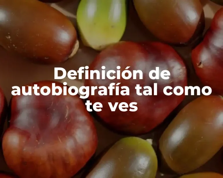 Definición de autobiografía tal como te ves