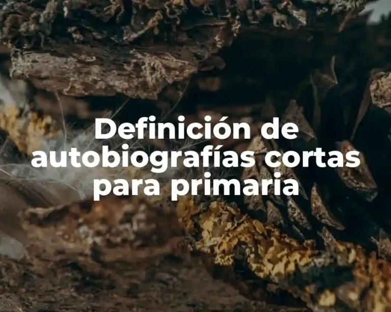 Definición de autobiografías cortas para primaria