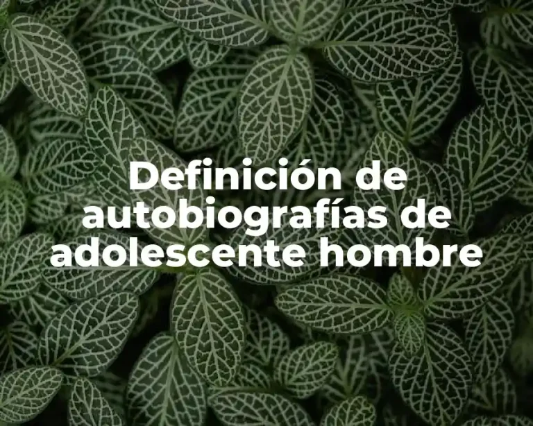 Definición de autobiografías de adolescente hombre