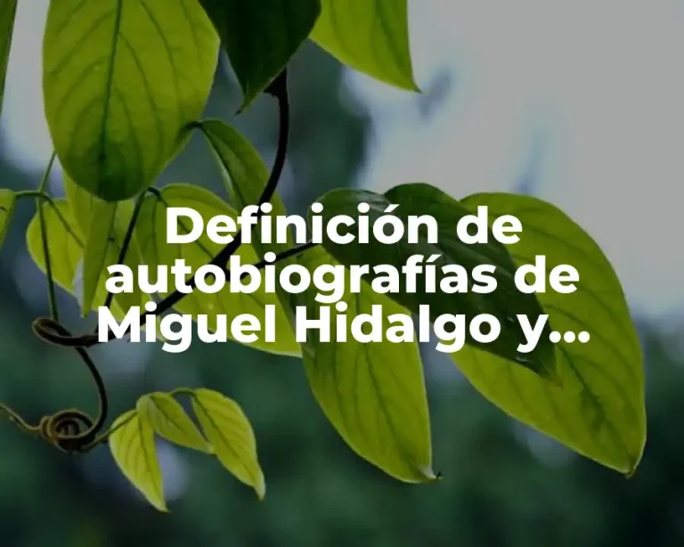 Definición de autobiografías de Miguel Hidalgo y Costilla
