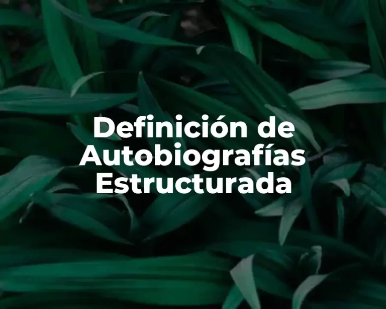 Definición de Autobiografías Estructurada