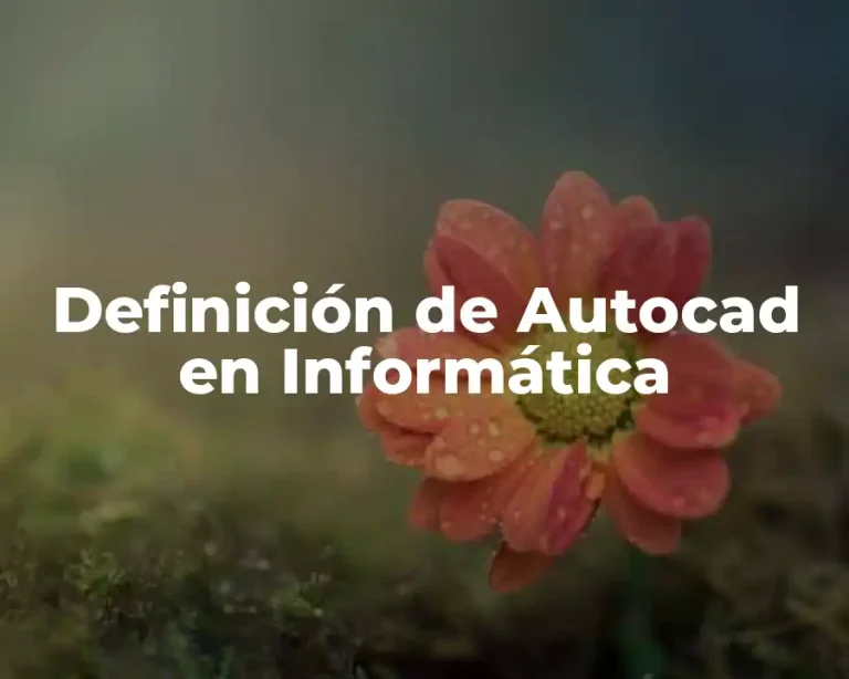 Definición de Autocad en Informática