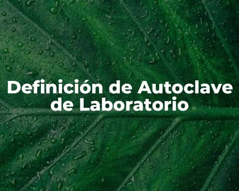 Definición de Autoclave de Laboratorio
