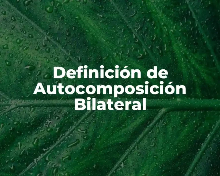 Definición de Autocomposición Bilateral
