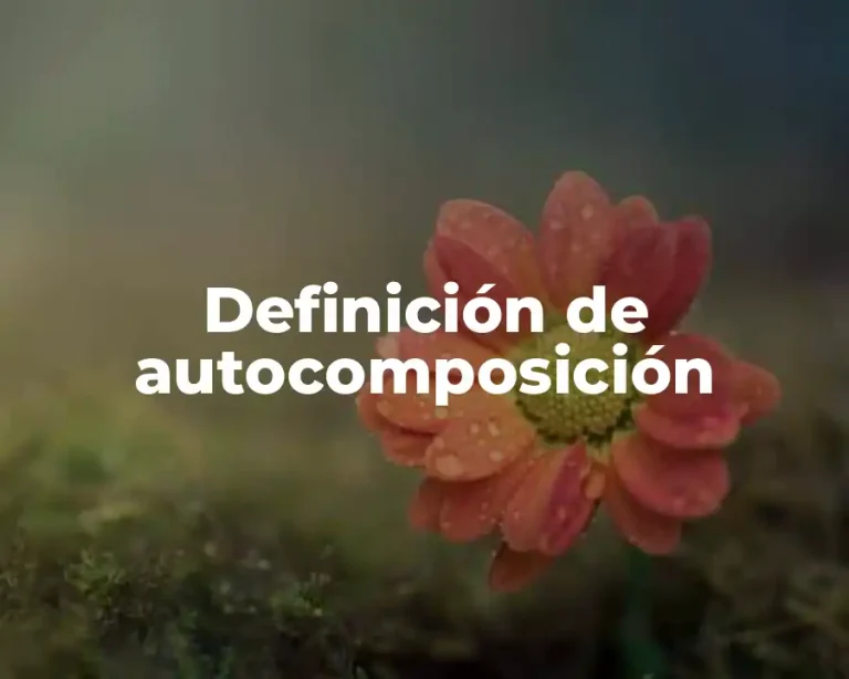 Definición de autocomposición