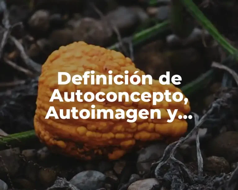 Definición de Autoconcepto, Autoimagen y Autoestima