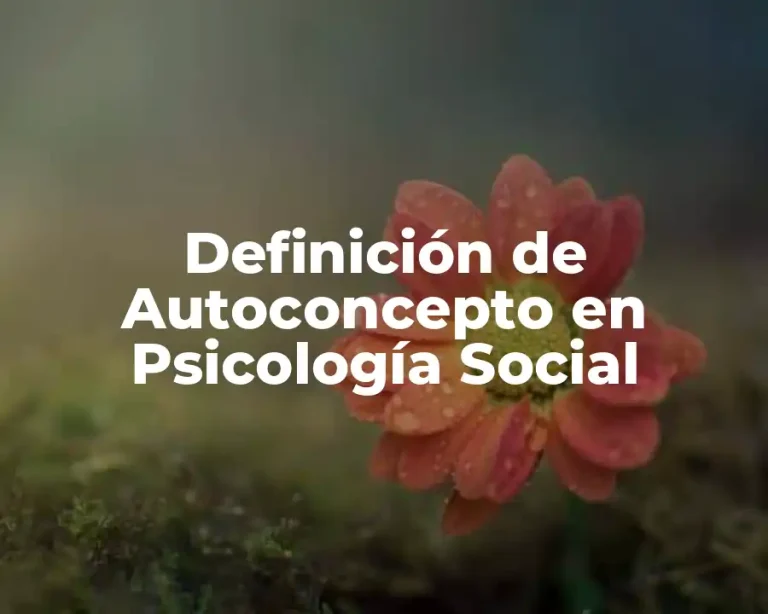 Definición de Autoconcepto en Psicología Social