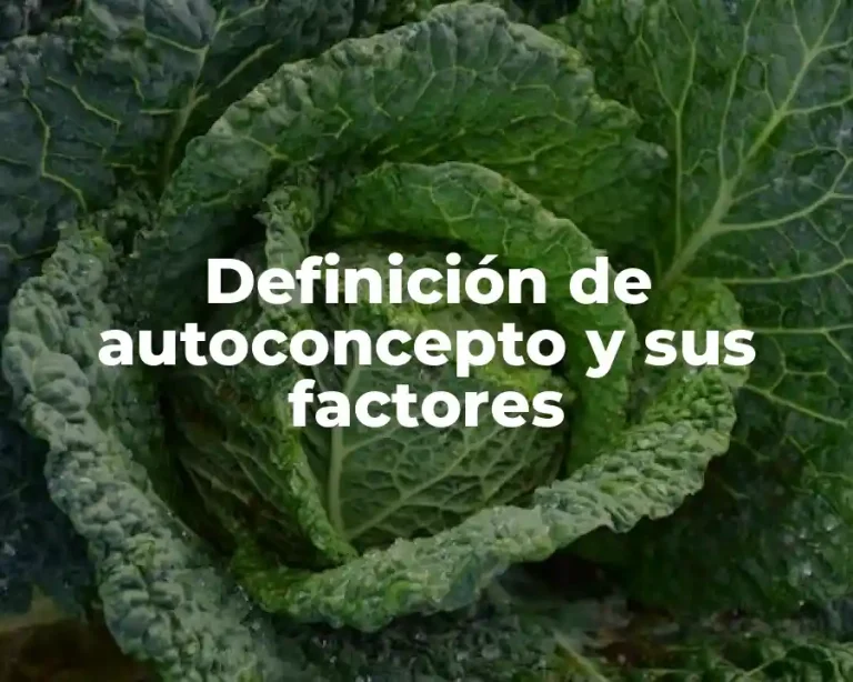 Definición de autoconcepto y sus factores