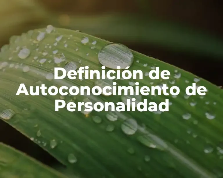 Definición de Autoconocimiento de Personalidad