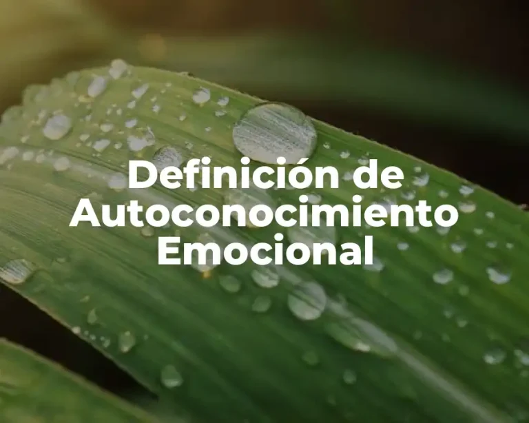Definición de Autoconocimiento Emocional