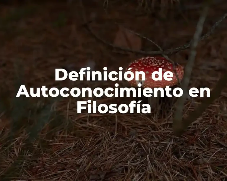 Definición de Autoconocimiento en Filosofía