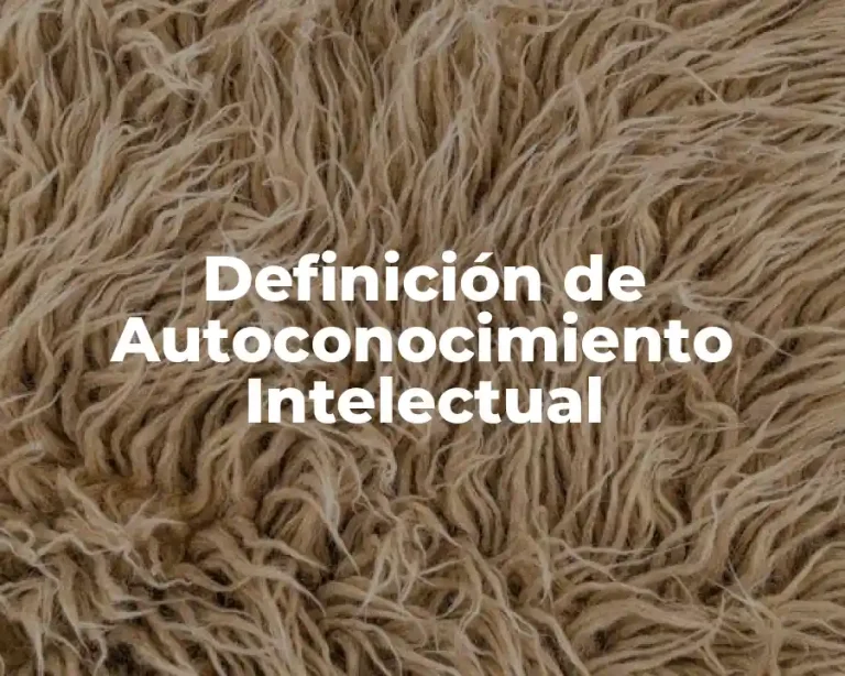 Definición de Autoconocimiento Intelectual