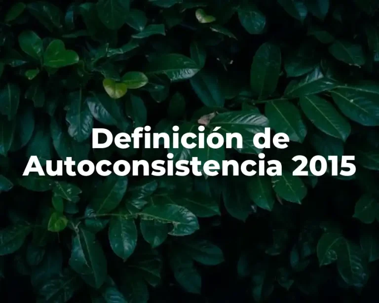 Definición de Autoconsistencia 2015
