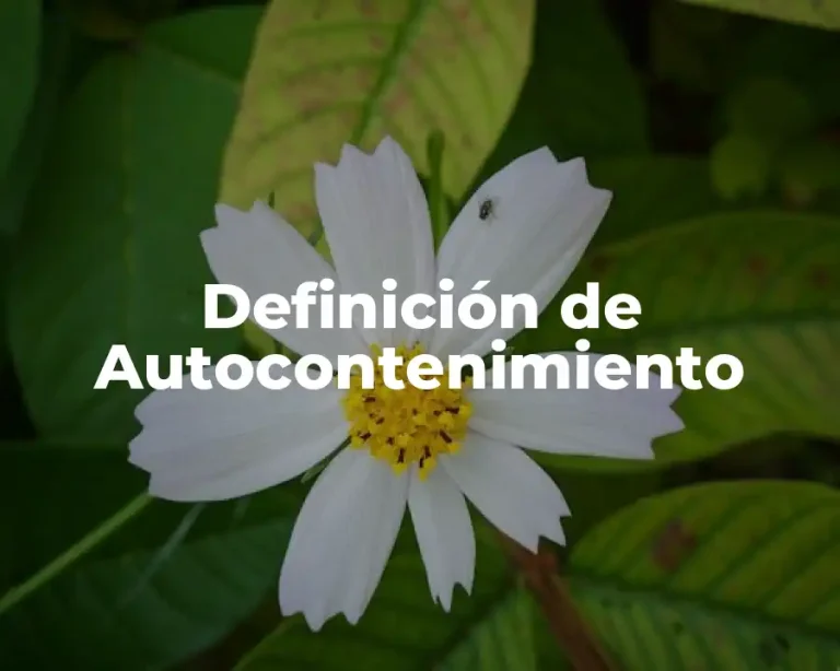 Definición de Autocontenimiento