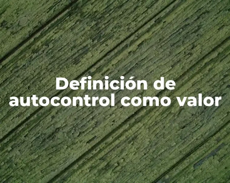 Definición de autocontrol como valor