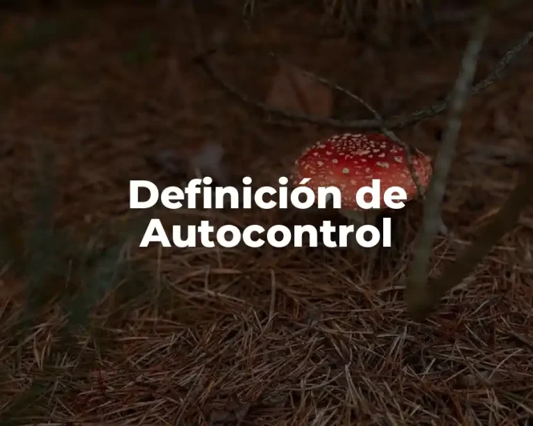 Definición de Autocontrol