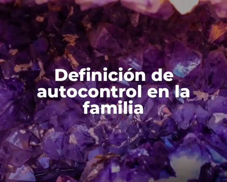Definición de autocontrol en la familia