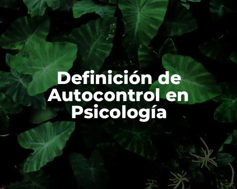 Definición de Autocontrol en Psicología