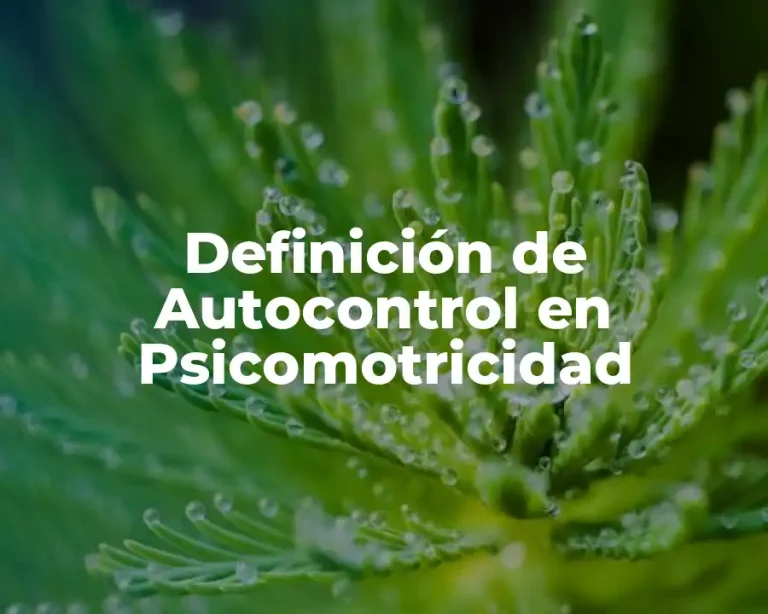 Definición de Autocontrol en Psicomotricidad
