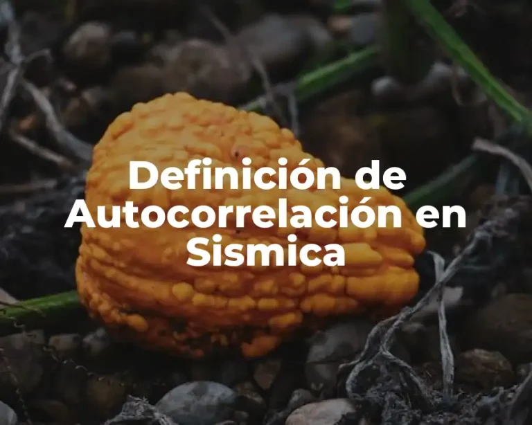 Definición de Autocorrelación en Sismica