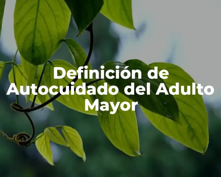 Definición de Autocuidado del Adulto Mayor