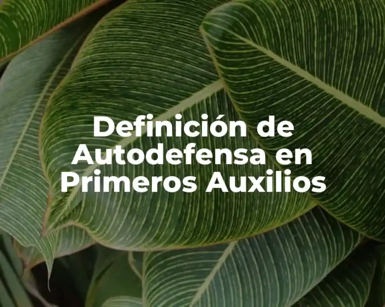 Definición de Autodefensa en Primeros Auxilios