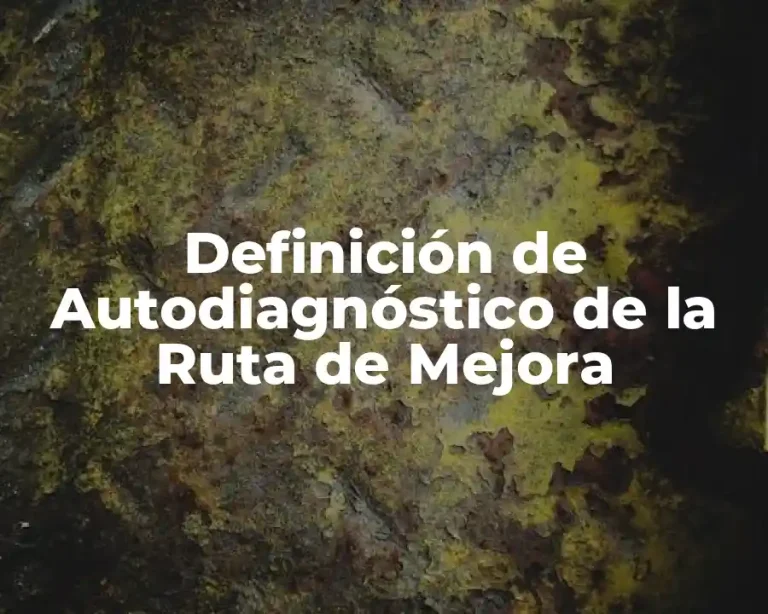 Definición de Autodiagnóstico de la Ruta de Mejora