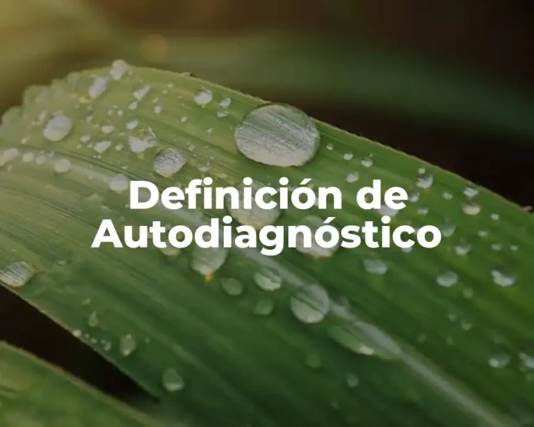 Definición de Autodiagnóstico