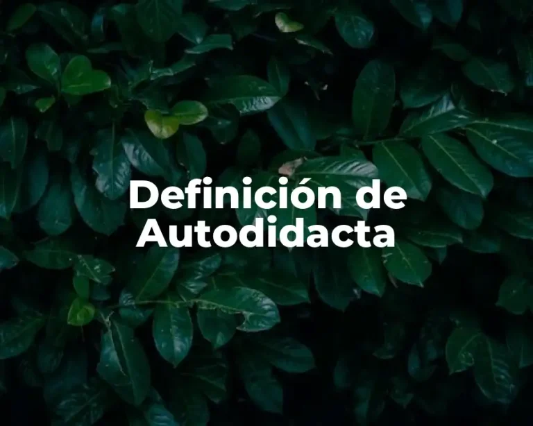 Definición de Autodidacta