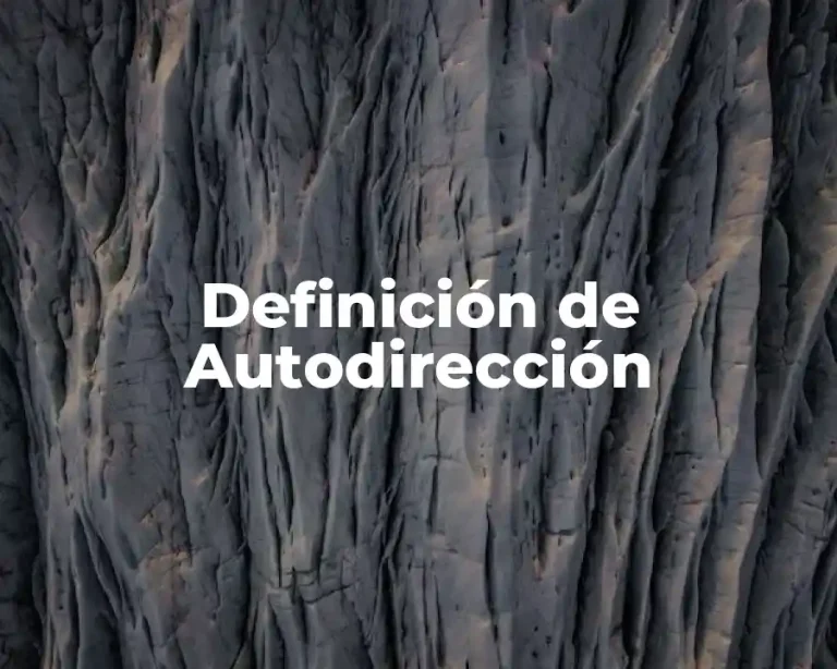 Definición de Autodirección