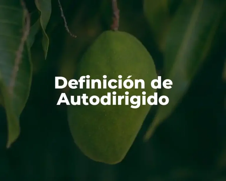 Definición de Autodirigido
