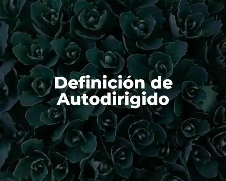 Definición de Autodirigido