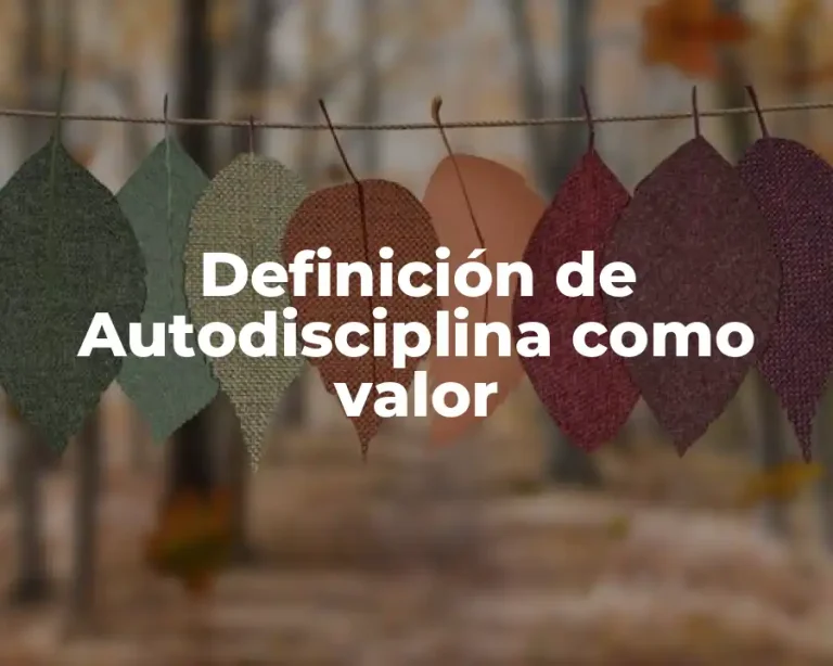 Definición de Autodisciplina como valor