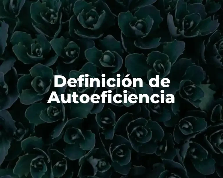 Definición de Autoeficiencia