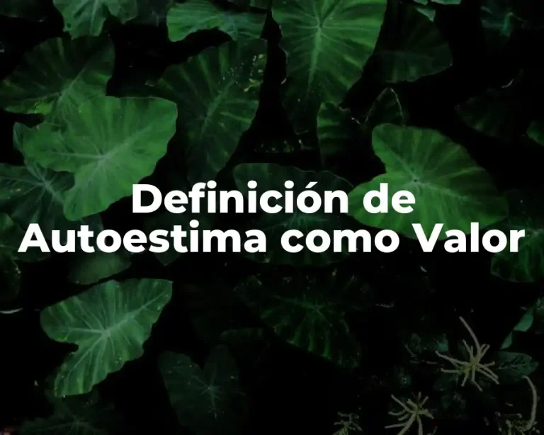 Definición de Autoestima como Valor