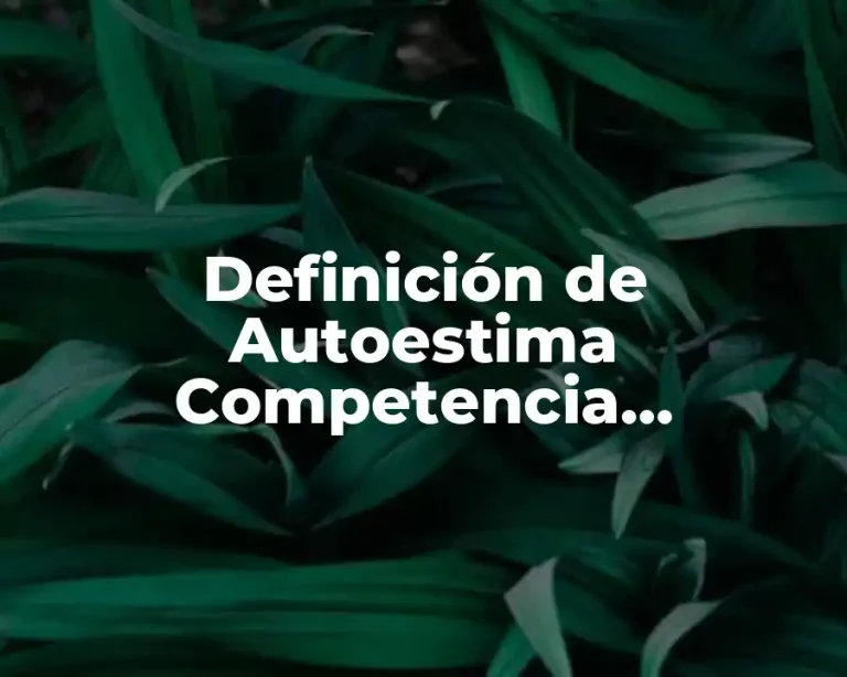 Definición de Autoestima Competencia Académica