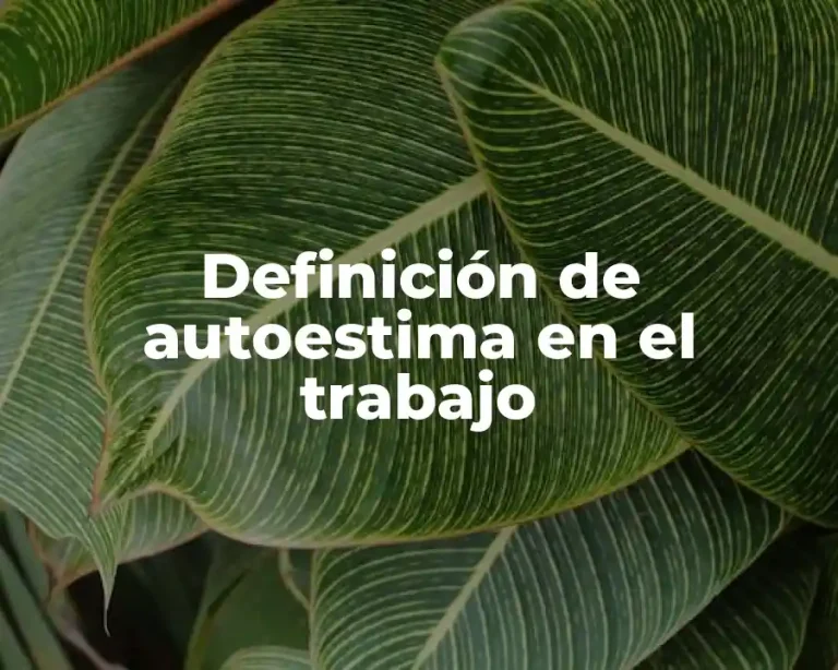 Definición de autoestima en el trabajo