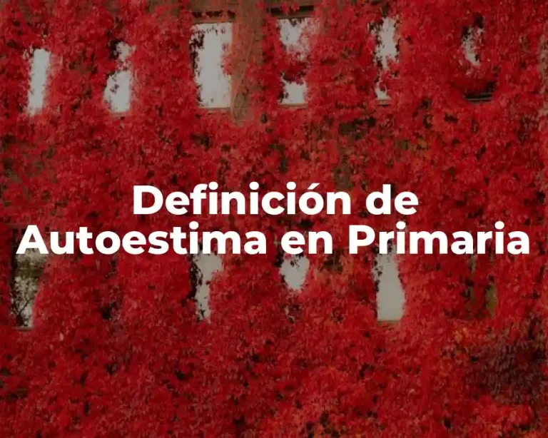 Definición de Autoestima en Primaria