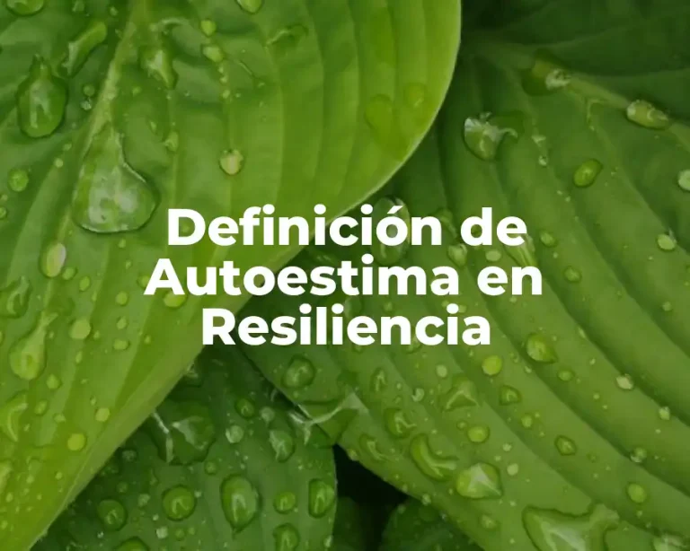 Definición de Autoestima en Resiliencia